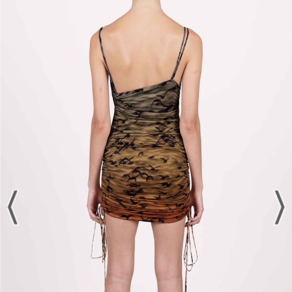 PRISCAVera mini dress animal print - Picture 12 of 12